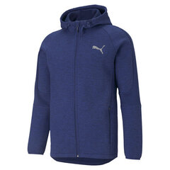 Puma Джемпер Evostripe FZ Hood Blue цена и информация | Мужские толстовки | pigu.lt