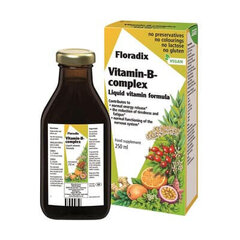 Maisto papildas Floradix Vitamin-B Complex, 250 ml цена и информация | Витамины, пищевые добавки, препараты для хорошего самочувствия | pigu.lt