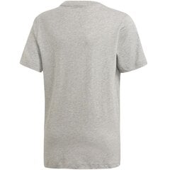 Adidas sportiniai marškinėliai Essentials Linear Tee Jr DV1816*152 cm kaina ir informacija | Marškinėliai berniukams | pigu.lt