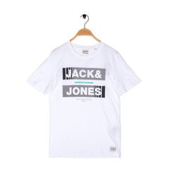 Футболка мужская с коротким рукавом Jack&Jones цена и информация | Футболка мужская | pigu.lt