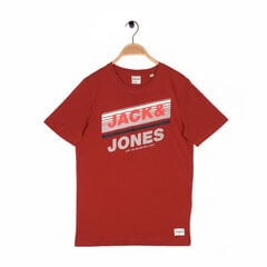 Футболка мужская с коротким рукавом Jack&Jones цена и информация | Мужские футболки | pigu.lt