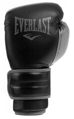 Bokso treniruočių pirštinės Everlast Powerlock kaina ir informacija | Everlast Sportas, laisvalaikis, turizmas | pigu.lt