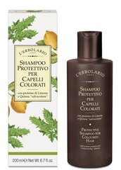 Шампунь для окрашенных волос L'Erbolario Shampoo Protettivo Per Capelli Colorati 200 мл цена и информация | Шампуни | pigu.lt