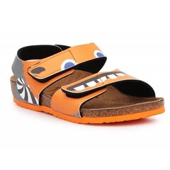 Сандалии детские Birkenstock Palu Kids BS 1019047, оранжевые цена и информация | Детские сандали | pigu.lt