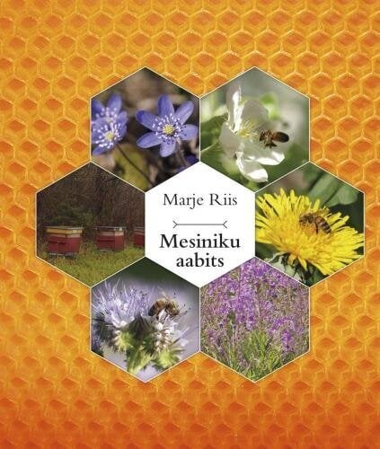 Mesiniku Aabits kaina ir informacija | Knygos apie sodininkystę | pigu.lt