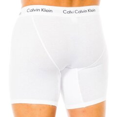 Шорты мужские Calvin Klein цена и информация | Мужские трусы | pigu.lt