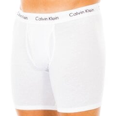 Шорты мужские Calvin Klein цена и информация | Мужские трусы | pigu.lt