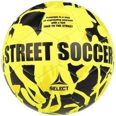 Футбольный мяч Select, размер 4 цена и информация | Футбольные мячи | pigu.lt