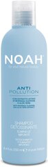 Šampūnas Noah, 250 ml kaina ir informacija | Šampūnai | pigu.lt