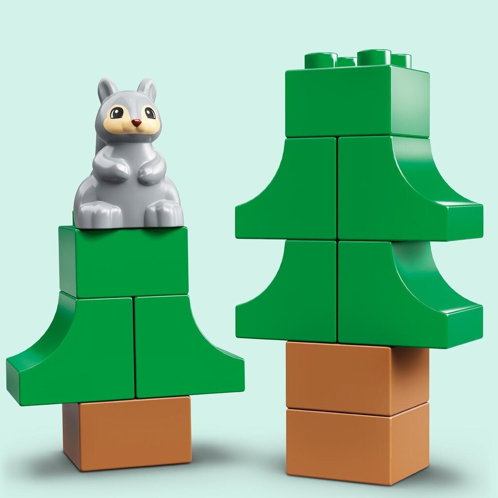 10946 LEGO® DUPLO Nuotykiai su šeimos nameliu ant ratų kaina ir informacija | Konstruktoriai ir kaladėlės | pigu.lt