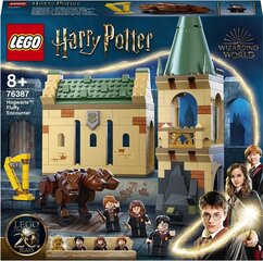 76387 LEGO® Harry Potter Susidūrimas su Pūkeliu kaina ir informacija | Konstruktoriai ir kaladėlės | pigu.lt