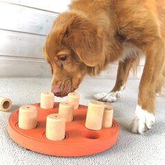 Nina Ottosson interaktyvus žaislas šunims Dog Smart kaina ir informacija | Žaislai šunims | pigu.lt