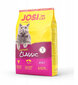Josera JosiCat Classic sterilizuotoms katėms, 650 g цена и информация | Sausas maistas katėms | pigu.lt