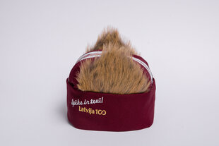 Kepurė su lokio ausimis kaina ir informacija | Originalios kepurės | pigu.lt