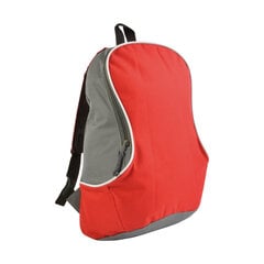 Двухцветный рюкзак цена и информация | Рюкзаки и сумки | pigu.lt