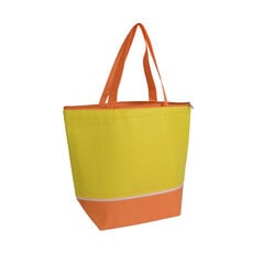 Paplūdimio krepšys/šaldymo krepšys kaina ir informacija | Moteriškos rankinės | pigu.lt