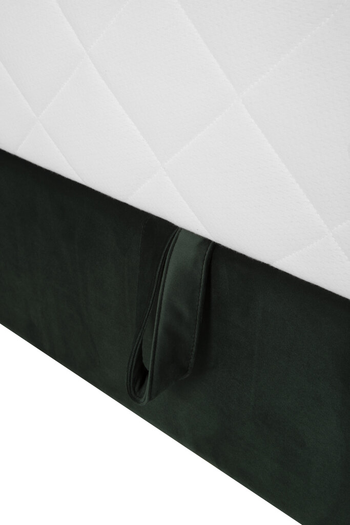 Lova Boxy Nr.3, 180x200 cm, tamsiai žalia kaina ir informacija | Lovos | pigu.lt