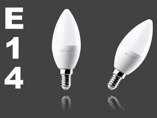 Tracer 46499 Светодиодная лампа E14 5W=35 теплый белый цена и информация | Электрические лампы | pigu.lt