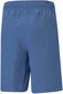 Šortai vyrams Puma Rebel Woven Shorts Blue 586905 13/S, mėlyni kaina ir informacija | Sportinė apranga vyrams | pigu.lt