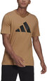 Marškinėliai vyrams Adidas M Fi Tee Bos A GP9507, rudi