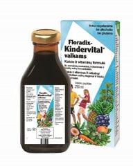 Maisto papildas Floradix Kindervital kalcis ir vitaminai vaikams, 250 ml цена и информация | Витамины, пищевые добавки, препараты для хорошего самочувствия | pigu.lt