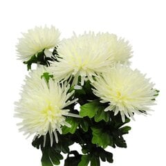 Искусственный букет хризантем цена и информация | Искусственные цветы | pigu.lt