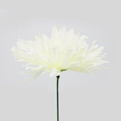 Dirbtinė gėlė chrizantemos žiedas, 5 vnt. kaina ir informacija | Dirbtinės gėlės | pigu.lt