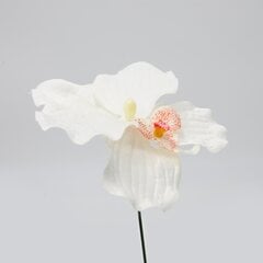 Dirbtinė gėlė orchidėjos žiedas, 5 vnt. kaina ir informacija | Dirbtinės gėlės | pigu.lt