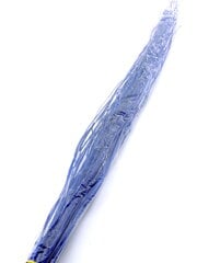 Sausa šaka White Lady R.Blue, 130 cm kaina ir informacija | Floristikos reikmenys | pigu.lt