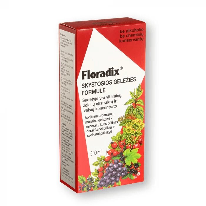 Maisto papildas Floradix skystis, 500 ml цена и информация | Vitaminai, maisto papildai, preparatai gerai savijautai | pigu.lt