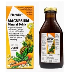 Maisto papildas Floradix Magnesium, 250 ml kaina ir informacija | Vitaminai, maisto papildai, preparatai gerai savijautai | pigu.lt