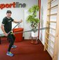 Sieniniai strypai inSPORTline Steadyline, 220 x 80cm, rudi kaina ir informacija | Gimnastikos sienelės | pigu.lt