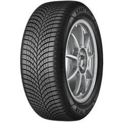 Visureigio padanga Firestone MULTISEASON-2 215/55VR16 kaina ir informacija | Universalios padangos | pigu.lt