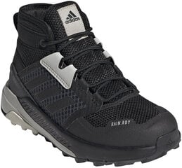 Adidas Обувь Terrex Trailmaker Mid R.Rdy K Black FW9322/5 цена и информация | Ботинки детские | pigu.lt