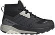 Aulinukai batai vaikams Adidas Terrex Trailmaker Mid R.Rdy K FW9322, juodi цена и информация | Aulinukai vaikams | pigu.lt