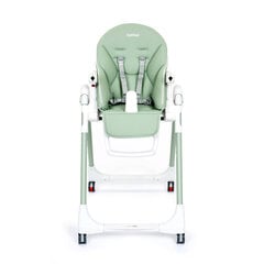 Многофункциональный стульчик для кормления Peg Perego Prima Pappa Follow Me, Mint цена и информация | Стульчики для кормления | pigu.lt