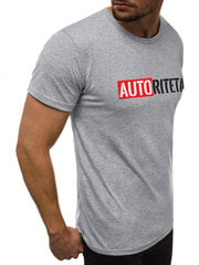 Marškinėliai vyrams Autoritetas JS/712005-43406-XXL, pilki kaina ir informacija | Vyriški marškinėliai | pigu.lt