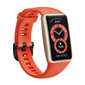 Huawei Band 6 Amber Sunrise kaina ir informacija | Išmaniosios apyrankės (fitness tracker) | pigu.lt