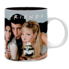 Кружка Friends Vintage Photo, 320 мл цена и информация | Атрибутика для игроков | pigu.lt