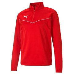 Мужской прыгун Puma teamRise 1 4 Zip Топ красный 657394 01 цена и информация | Мужские термобрюки, темно-синие, SMA61007 | pigu.lt