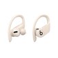 Powerbeats Pro Totally Wireless Earphones Ivory - MY5D2ZM/A kaina ir informacija | Ausinės | pigu.lt