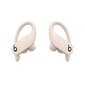 Powerbeats Pro Totally Wireless Earphones Ivory - MY5D2ZM/A kaina ir informacija | Ausinės | pigu.lt