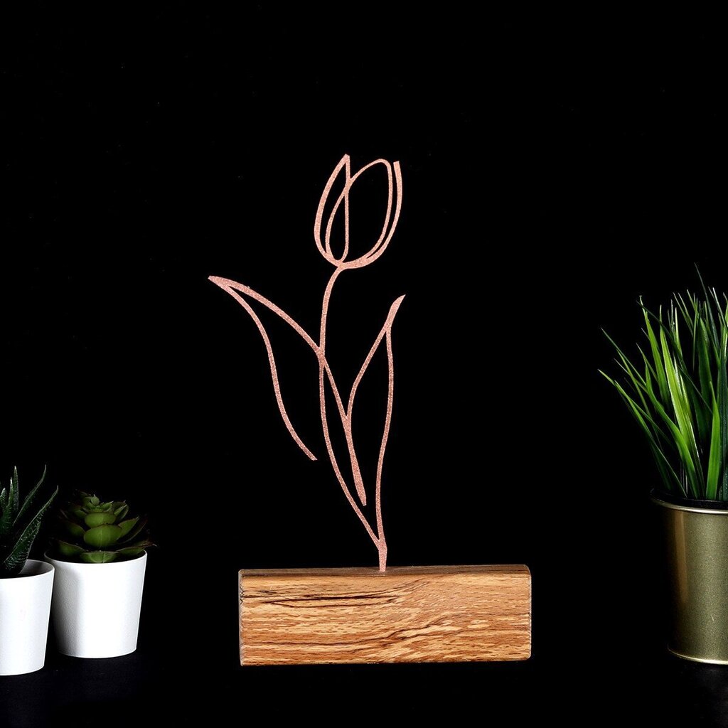 Dekoratyvinė figūrėlė Tulip Bronze kaina ir informacija | Interjero detalės | pigu.lt