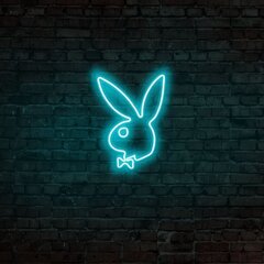 Настенный светильник Playboy цена и информация | Настенные светильники | pigu.lt