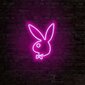 Sieninis šviestuvas Playboy kaina ir informacija | Sieniniai šviestuvai | pigu.lt