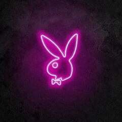 Настенный светильник Playboy цена и информация | Настенные светильники | pigu.lt