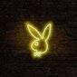 Sieninis šviestuvas Playboy kaina ir informacija | Sieniniai šviestuvai | pigu.lt