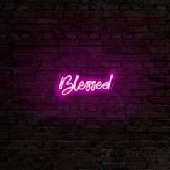 Настенный светильник Blessed цена и информация | Настенные светильники | pigu.lt