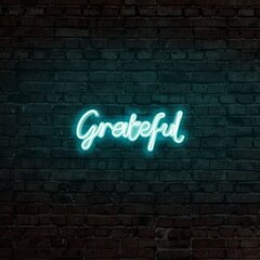 Настенный светильник Grateful цена и информация | Настенные светильники | pigu.lt