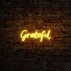 Настенный светильник Grateful цена и информация | Настенные светильники | pigu.lt